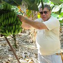 ���� ��������, ������, 65 ��� - ��������� 26 ������ 2016 � ������ ���� ����������