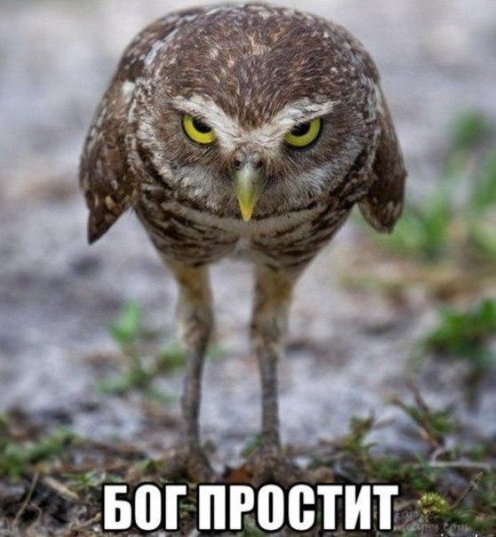 ...    - 4