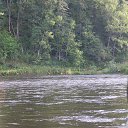 ���� ������, �����������-��-�����, 57 ��� - ��������� 24 ������� 2016 � ������ ����16�