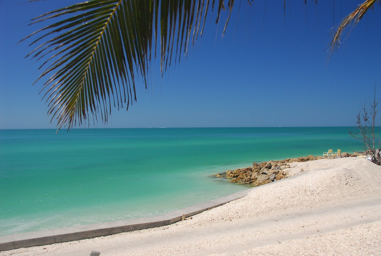 Siesta Key Beach, . ,      .    ...