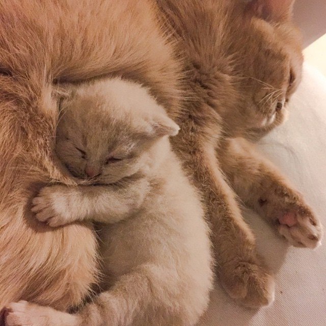  :3