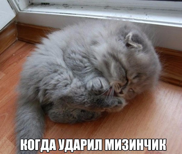    :D - 8  2016  12:11