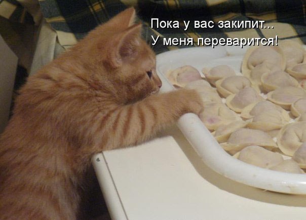 ,-    - 19  2016  08:58