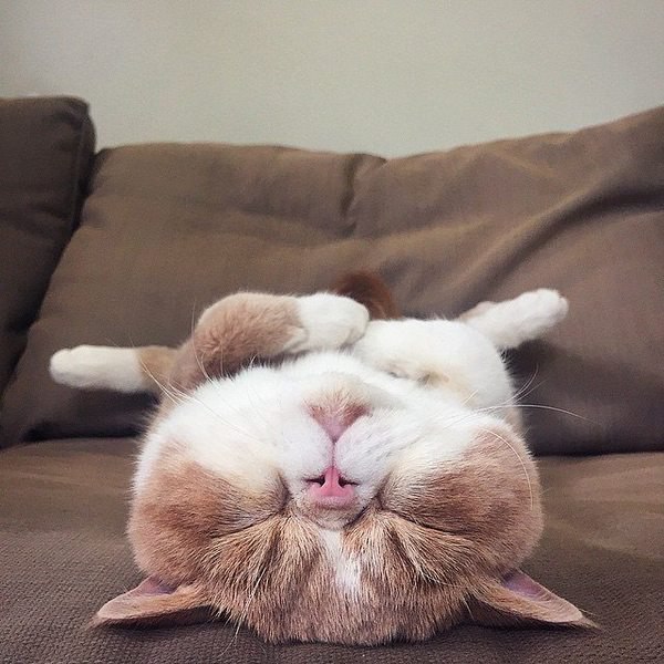  - :3