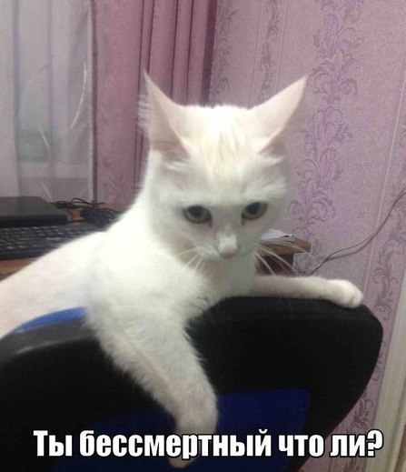 Art & Fun - 1  2016  17:38