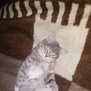 � � ����� ���))) �� ������� ���� ����������