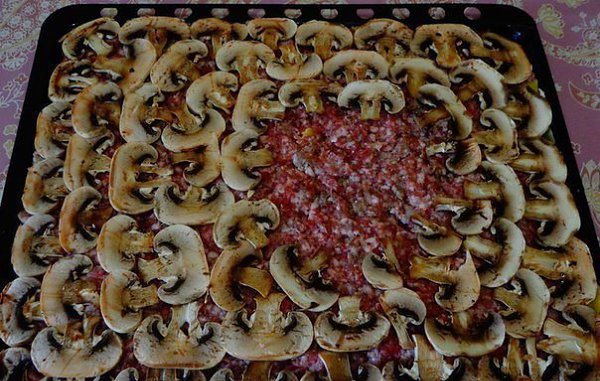 САМАЯ ВКУСНАЯ И ПРОСТАЯ ЗАПЕКАНКА.ИНГРЕДИЕНТЫ: шампиньоны сыр 2 ложки сметаны фарш ломтики картофеля ... - 3