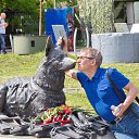 ���� Igor, ������ - ��������� 21 ���� 2016 � ������ ������ ��������
