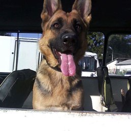 ���� ����, ������������ - ��������� 20 ���� 2016