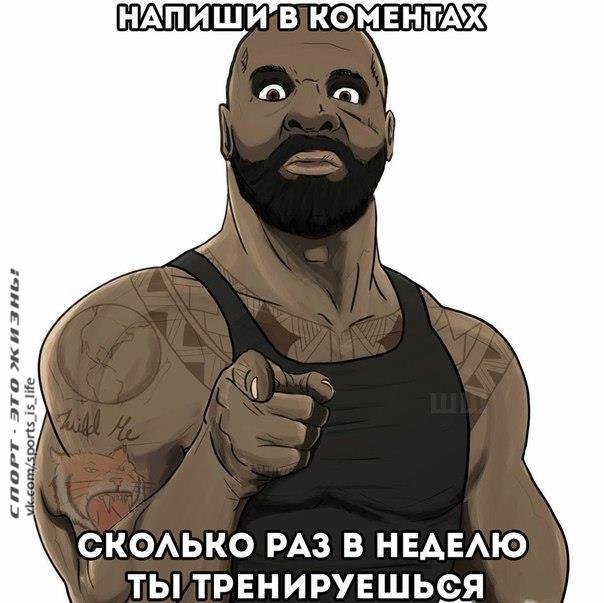  -   - 11  2016  15:09