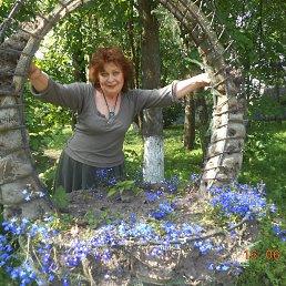  ! ;    ,    :   ,   ... .