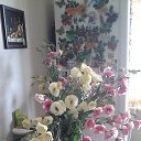 ���� Vanda, ������� - ��������� 23 ������� 2016