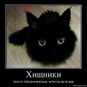 ���� Senyoro, ��������� - ��������� 2 �������� 2016 � ������ ������ ��������