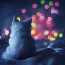  ,  -  11  2016    Ȼ