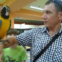 ���� �����, ���������, 44 ���� - ��������� 8 ������� 2016 � ������ ���� ����������