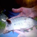 ���� ������, �������, 57 ��� - ��������� 19 ���� 2016 � ������ ���� ����������