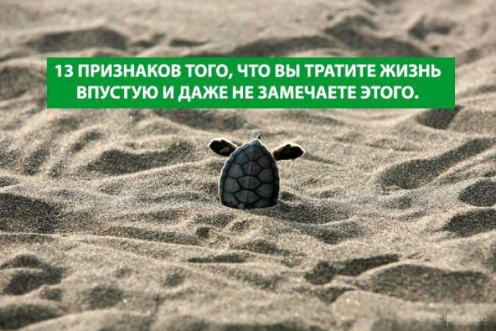 13 признаков того, что вы тратите жизнь впустую и даже не замечаете этого. 1. Вы тратите слишком ...