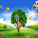 ���� ������, �����, 52 ���� - ��������� 1 ��� 2016 � ������ �������� �������-�������