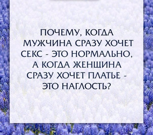    - 15  2016  15:44