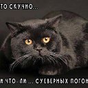 ���� Elizabeth, ������, 58 ��� - ��������� 13 ����� 2016 � ������ ������ ��������