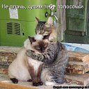 ���� ����, �������� - ��������� 12 ������ 2016 � ������ �����Ż