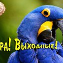 ���� ����, �����-��������� - ��������� 14 ��� 2016 � ������ �������� ��������