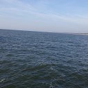 ���� Lina, ������� - ��������� 3 �������� 2016 � ������ ���� ����������