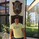 ���� ������, ������, 54 ���� - ��������� 19 ������� 2016 � ������ ���� ����������