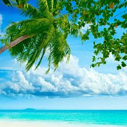 �����, 41 ���, ������