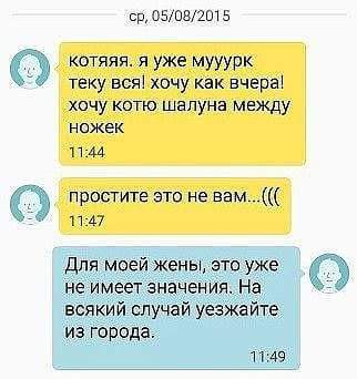   - 29  2016  02:51