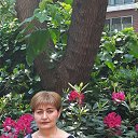  Susanna, , 66  -  4  2016    
