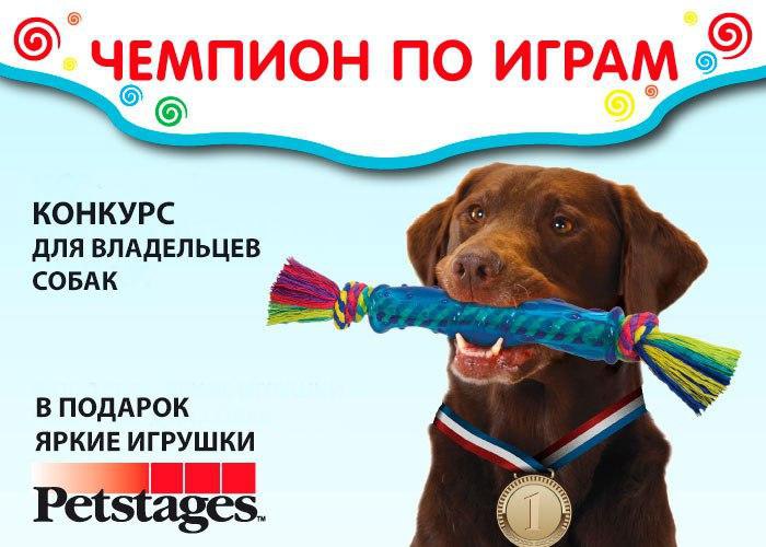       Petstages  ?     ...