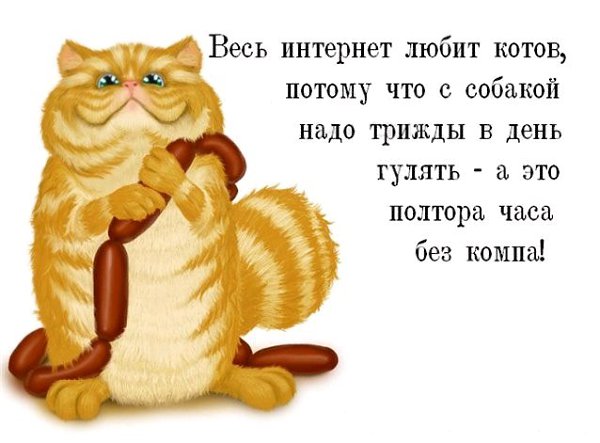   - 28  2016  14:08