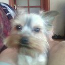 ���� Sergei, ���������, 67 ��� - ��������� 30 ���� 2016