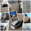 ���� ��������, �����-���������, 36 ��� - ��������� 2 ��� 2016 � ������ ���� ����������