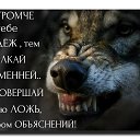 ���� ���, ���������, 101 ��� - ��������� 7 ���� 2016 � ������ ���� ����������