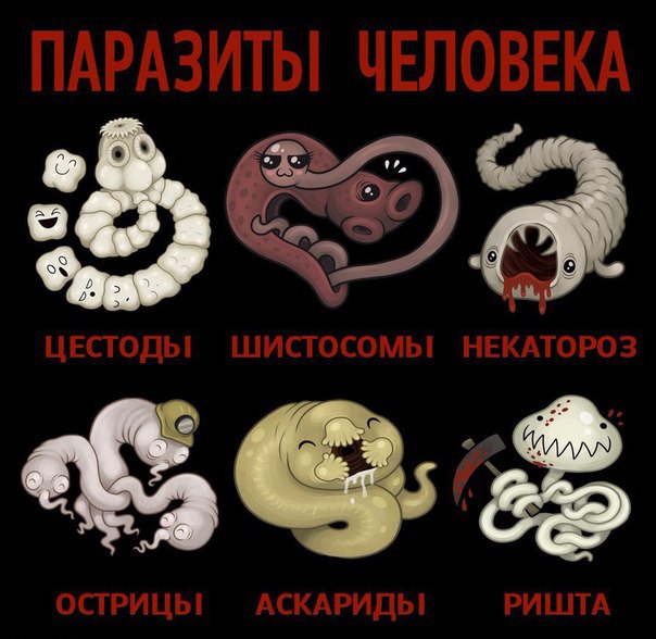    ( )
