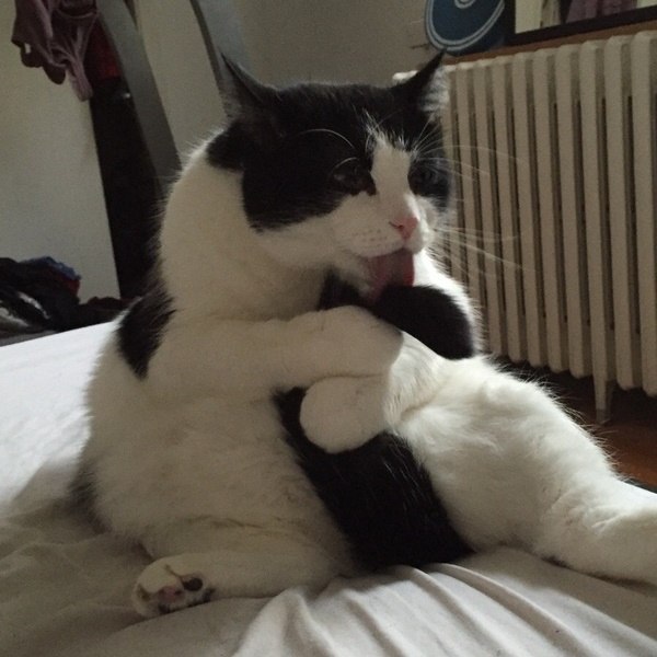  ,  
