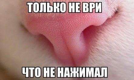   - 28  2016  22:45