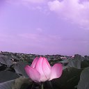 ���� ������, �������������-���������� - ��������� 9 ������� 2016 � ������ ���� ����������