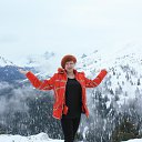  , , 40  -  29  2016    2016  