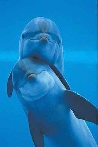   - ! - 6