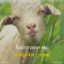 ���� �������, ������� - ��������� 22 ����� 2016 � ������ ���� ����������