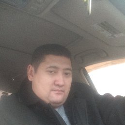 �����, �������, 41 ���