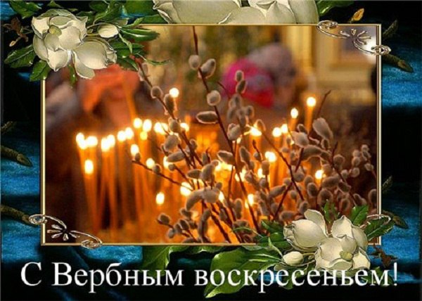 С Вербным Воскресеньем поздравляю, от всей души желаю вам счастья полного, здоровья крепкого, а ...