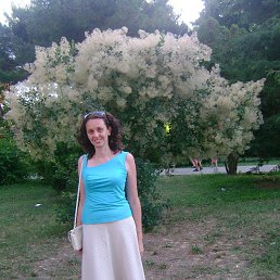 ���� �����, ��������, 56 ��� - ��������� 14 ������� 2016