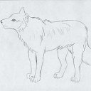 ���� �����, ������ - ��������� 15 ������ 2016 � ������ ��������