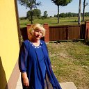 ���� ����, �����������, 81 ��� - ��������� 17 ���� 2016 � ������ ������ ��������