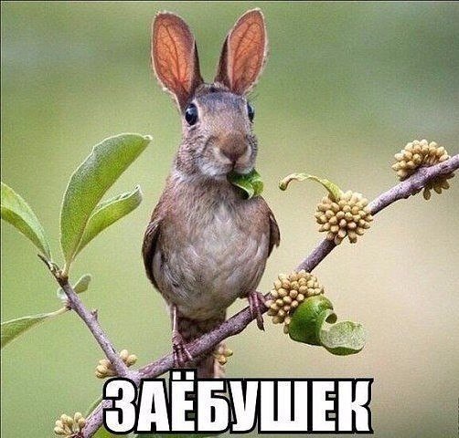     !