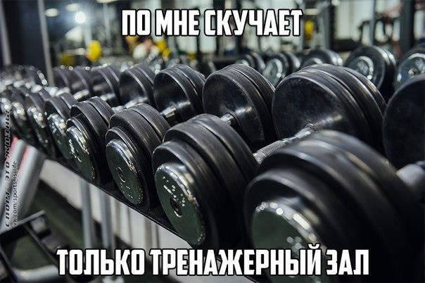  -   - 15  2016  02:58